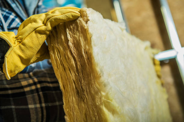 Types of Insulation We Offer in Sparks, NV