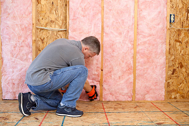 Best Cellulose Insulation in Sparks, NV